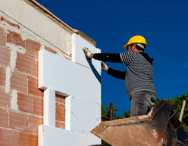 Best Fiberglass Insulation  in Zebulon, NC