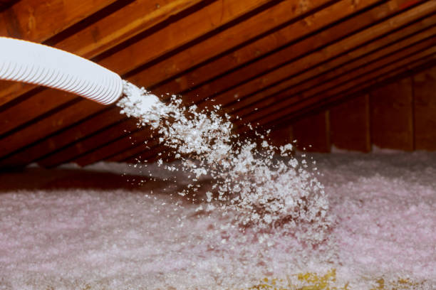 Best Insulation Contractor Near Me  in Zebulon, NC