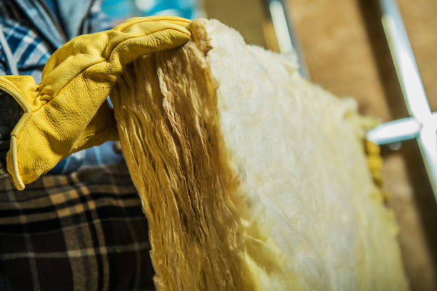 Best Crawl Space Insulation  in Zebulon, NC