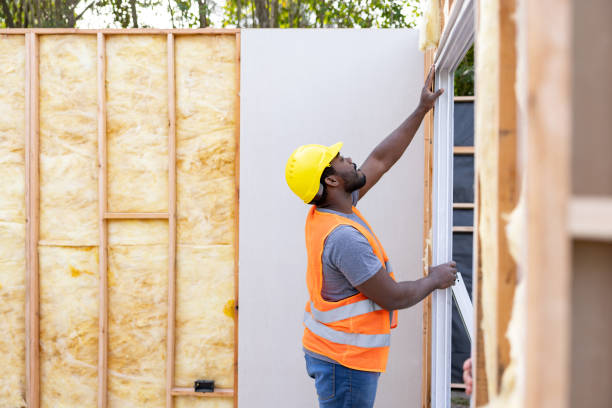 Best Professional Insulation Contractor  in Zebulon, NC