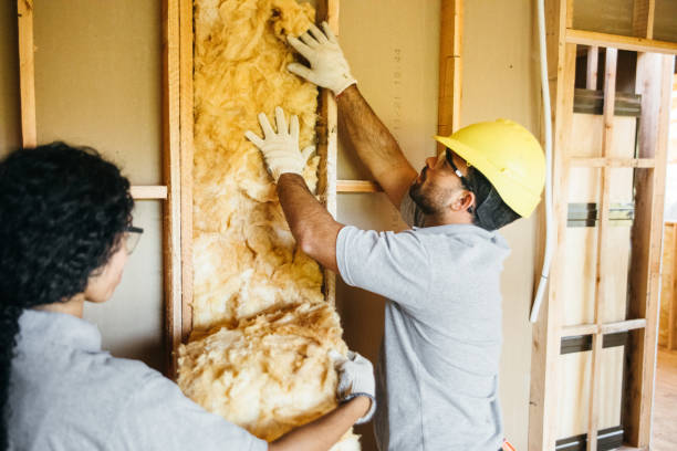 Best Residential Insulation Services  in Zebulon, NC