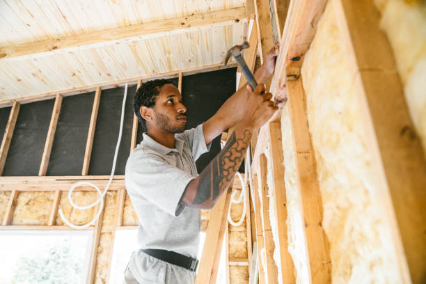 Best Professional Insulation Contractor  in Zebulon, NC