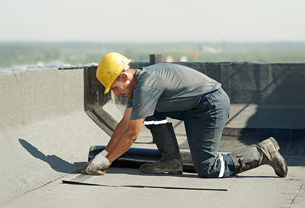 Best Cellulose Insulation  in Zebulon, NC