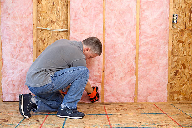 Best Crawl Space Insulation  in Zebulon, NC