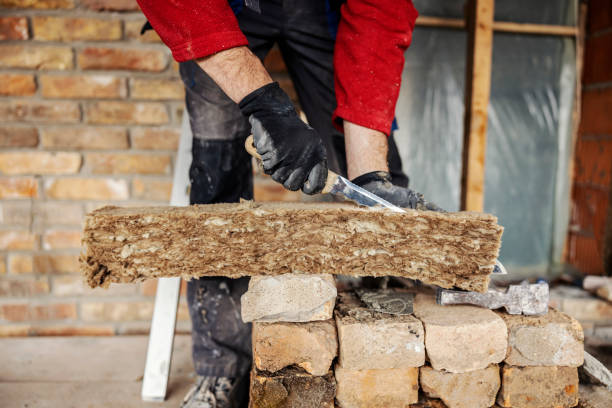 Best Home Insulation Services  in Zebulon, NC