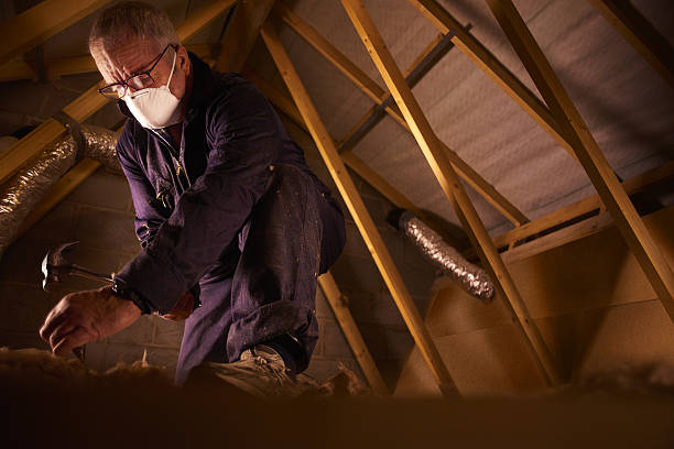 Best Soundproof Insulation Installation  in Zebulon, NC